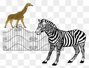Zoo Animals Clip Art - Zebra Drawing Black And White