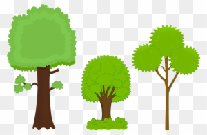 Pictures Of Cartoon Trees - Three Different Trees