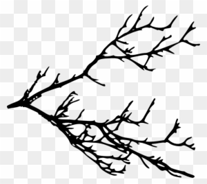 Free Png Tree Branches Silhouette Png Images Transparent - Tree Branches Silhouette