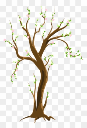 Spring Tree Png Clipart Picture - Spring Tree Clip Art