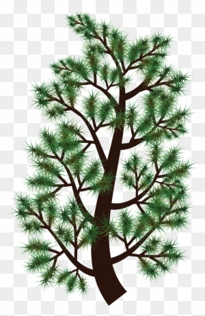 Free Clipart Of A Pine Tree Branch - Free Clipart Of A Pine Tree Branch