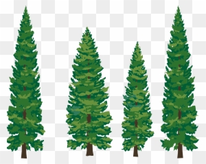Clip - Art - Pine - Tree - Pine Tree Clipart Png