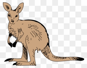 Cute Furry Kangaroo Clip Art - Animated Kangaroo Png