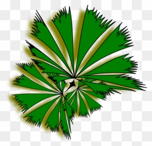 Palm Raphis 01a - Palm Tree Top View Clipart