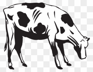 Grass Black And White Black Cow Eating Grass Clipart - Cow Eating Clip Art