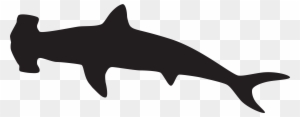 Hammerhead Shark Silhouette Png Clip Art Imageu200b - Hammerhead Shark Silhouette