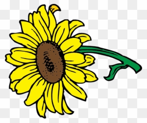 Sunflower Clip Art