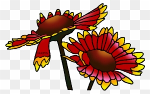 State Wild Flower Of Oklahoma - Indian Blanket Flower Clipart