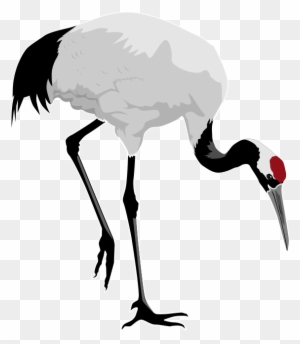 Free To Use Public Domain Birds Clip Art - Red Crowned Crane Clipart