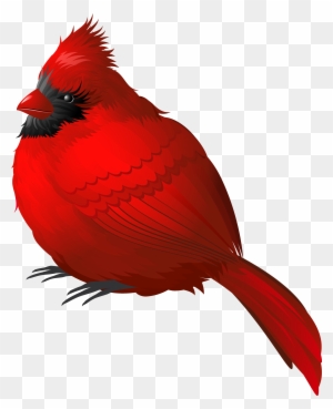 Red Winter Bird Png Clipart Image - Red Bird Png