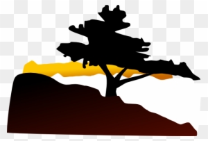 Bonsai Tree Clip Art