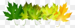 Green Autumn Leaves Transparent Clip Art Image - Maple Leaf