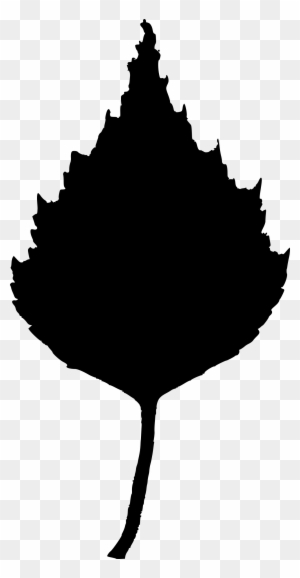 Maple Leaf Clipart - Birch Leaf Clip Art