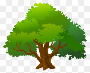 Mango Tree Clipart - Mango Tree Clipart
