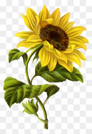 Free Free 230 Transparent Background Realistic Sunflower Svg SVG PNG EPS DXF File