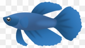 Fish Clip Art Free Fish Sketch Clip Art Vector Clip - Portable Network Graphics
