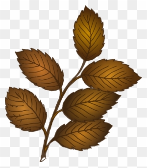 Brown Leaves On Branch