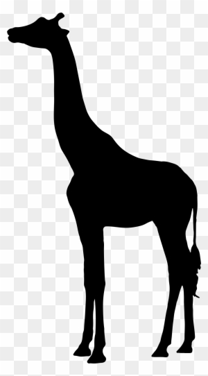 Fresh Idea Giraffe Silhouette Clipart 3 Big Image Png - Silhouette Of A Giraffe