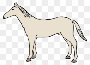 Clipart Info - White Horse Clipart Transparent