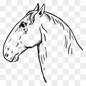 Horse Head Clip Art Free Clipart To Use Resource - Clipart Free Horse Black And Wite