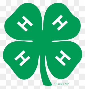 Horse 4 H Clover Clipart - 4 H Logo