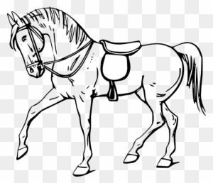 Walking Horse Outline Clip Art - Outline Picture Of Horse