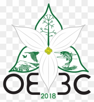 Oe3c Logo - University