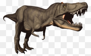 Rex Dinosaur Clip Art - Dinosaure Clipart T Rex