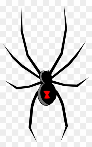 Spider Clipart, Transparent PNG Clipart Images Free Download - ClipartMax