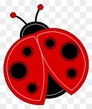 Cute Ladybug Clipart - Cute Ladybug Transparent Background
