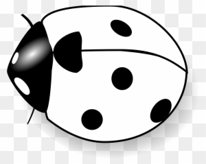 Ladybug Clipart Line - Clipart Of Lady Bug