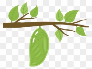 Free Free Queen Chrysalis Svg 780 SVG PNG EPS DXF File