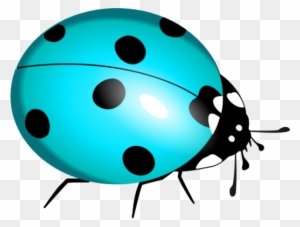 Ladybug Clipart Teal - Lady Bug Clip Art