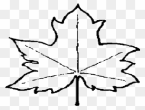 Maple Leaf Outline Clipart 3 Clipart - Outline Of A Leaf