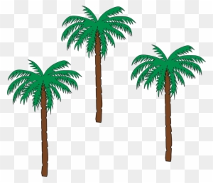 Palm Tree Clipart Pohon - Haiti Coat Of Arms
