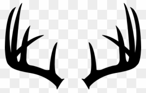 Horns Clipart Buck Antler - Deer Antler Clip Art
