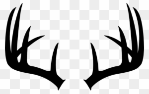 Horns Clipart Buck Antler - Deer Antler Clip Art - Free Transparent PNG ...