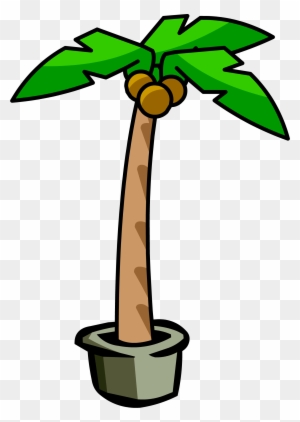 More From My Site - Palm Tree Png
