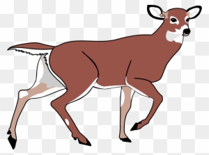 Deer Clip Art - Animated Deer Png