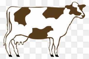 Brown And White Cow - Cow Clip Art