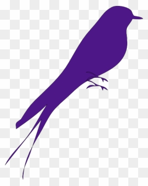 Big Purple Bird Svg Downloads - Purple Bird On Tree Clip Art