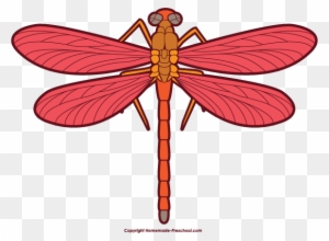 Dragonfly Clip Art Stock Images Free Clipart Images - Red Dragonfly Clipart
