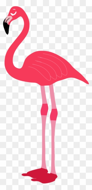 Flamingo Clip Art Free - Flamingo Transparent