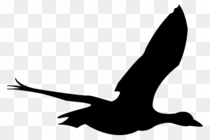 Sea Bird Clipart Animated - Clip Art Flying Bird