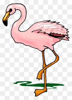 Flamingo Clipart - Cartoon Transparent Flamingo