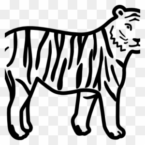 Tiger Clipart Black And White Tiger Clip Art Black - Outline Pictures Of Animals