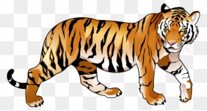 Indian Tiger Stock Illustrations – 7,746 Indian Tiger Stock Illustrations,  Vectors & Clipart - Dreamstime