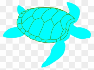 Turtle Clipart Blue And Green - Custom Green Sea Turtle Sticker