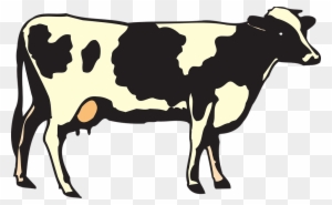 Cow Clip Art - Mexican Word Of The Day Glasses