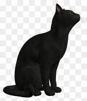 Black Cat Png Clipart 552 - Black Cat Png
